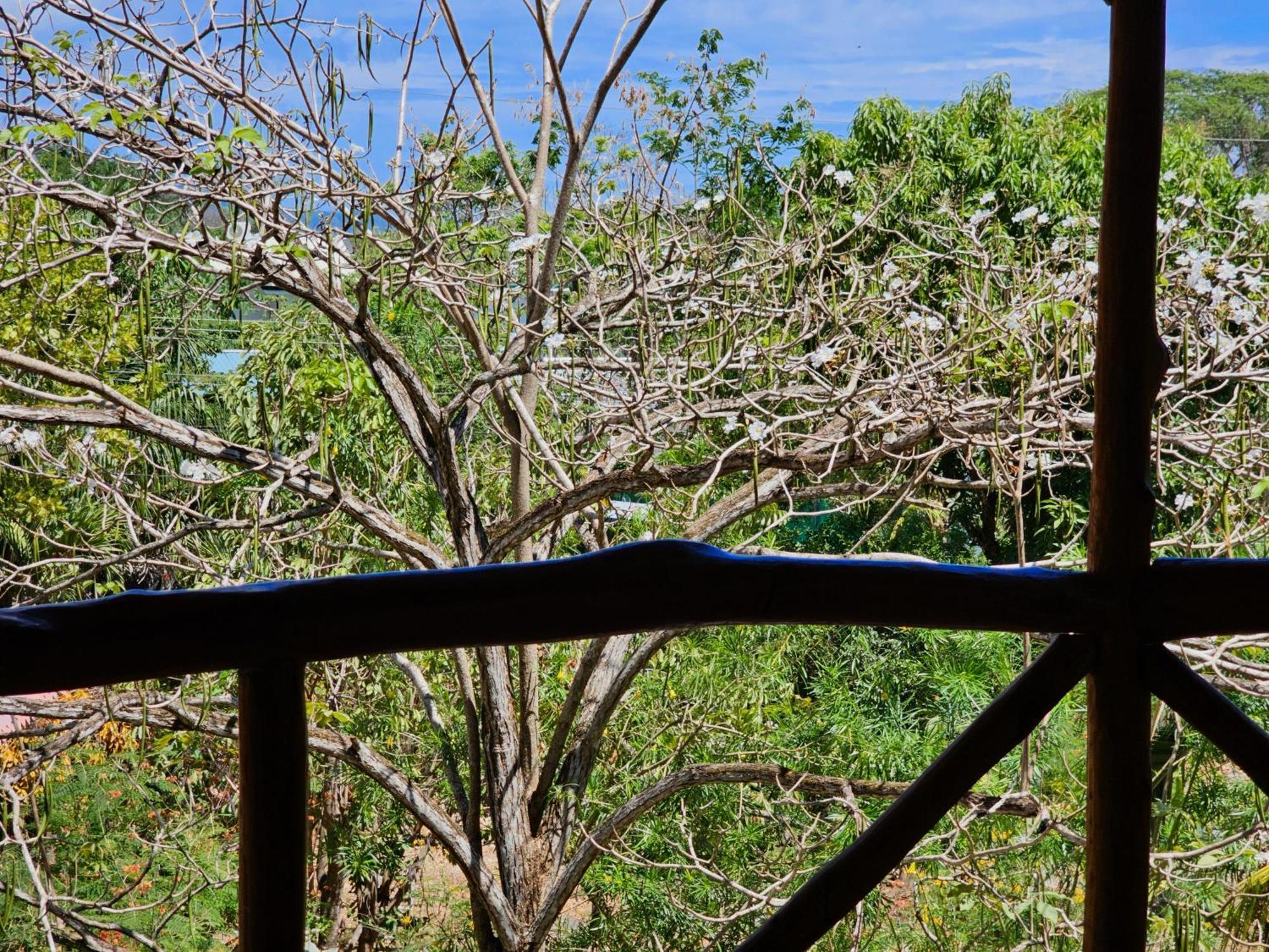 Don Jon'S Surf And Yoga Lodge Playa Santa Teresa  Exterior photo